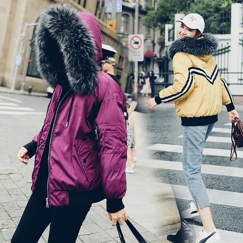 Off Season Small Cotton-Padded Jacket Women's Short New Style Korean-style down Jacket Cotton-padded Clothes Winter BF Stud