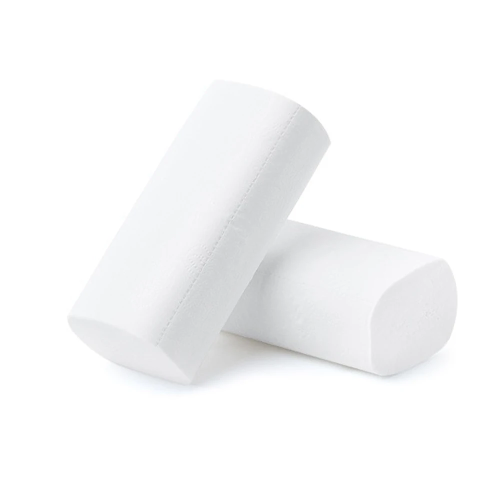 household toilet paper1