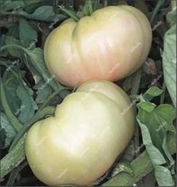 20191011_173005_102