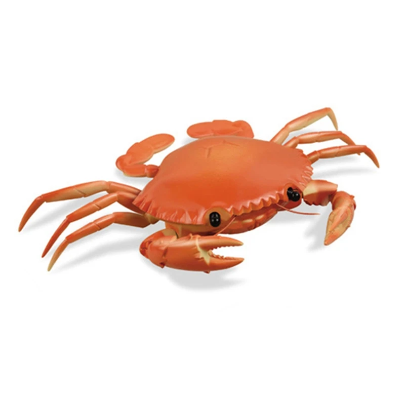 

Children'S Remote Control Toys Simulation Crabs Early Childhood Educational Toys Rc Animals Crabs Models Child Gifts