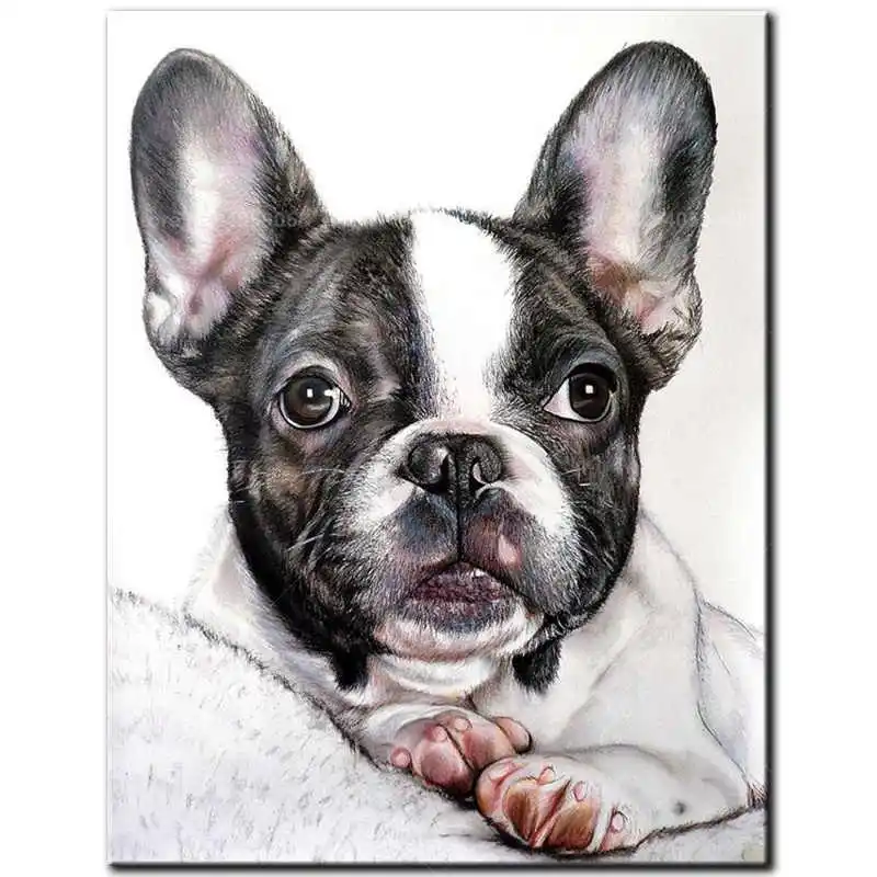 HTB1XmY2XTjxK1Rjy0Fnq6yBaFXaG.jpg_.webp_q50