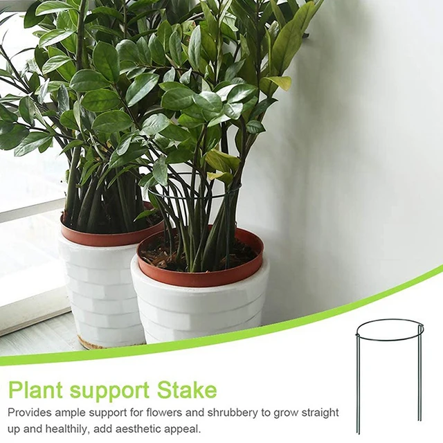 4/8 db Kerti Növényi Tartó Tét Fél Kerek Fém Gyűrű Ketrec Rózsavirágokhoz Szőlő Növények Kiegészítők - Image 3