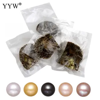 

9-10mm Akoya Cultured Pearls Sea Mussel High Quality Akoya Cultured Sea Pearl Oyster Beads One Pearl Oyster With One Pearl