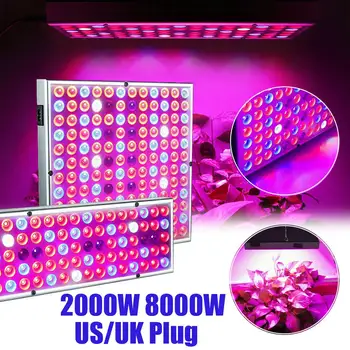 

2000/8000W LED Grow Light Hydroponic Full Spectrum LED Grow Lamp for Indoor Tent Greenhouse Plants Flower Growing Bloom Lamp