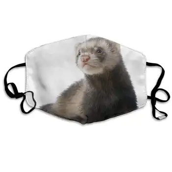 

NiYoung Breathable Anti Dust Mouth Mask with Adjustable Earloop, Warm Windproof Reusable Washable Half Face Mask, Cute Ferret