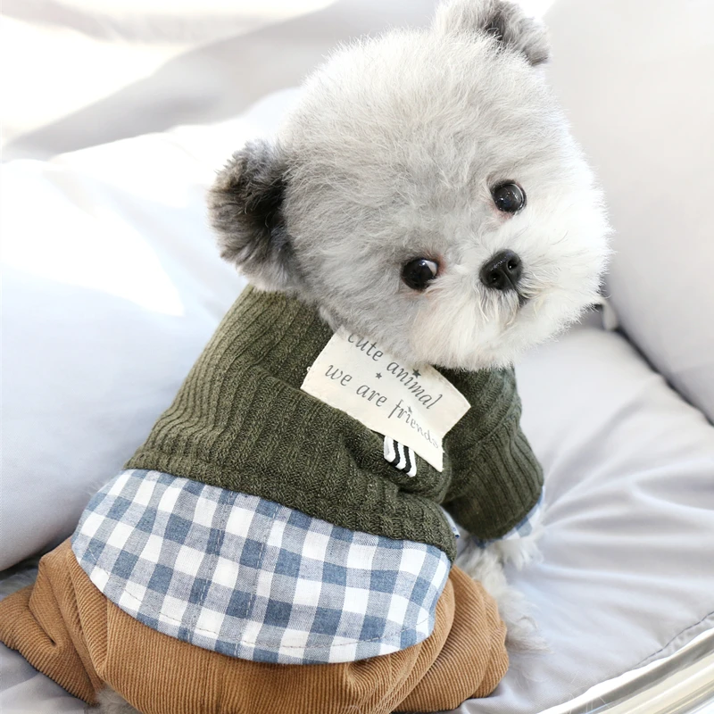 Pet Одежда с принтом в виде собак для малых и средних породы Йоркширский терьер