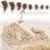 500 г Подлинного Юньнаньского дикого Панакса Notoginseng powder sanqi powder 37powder в течение 12 лет бесплатная доставка
