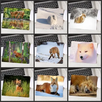 

XGZ Cute Wolf Pattern Anti Slip Laptop Computer PC Animal Mousepad Gaming Mice Pad Mat for Optical Size 22X18CM