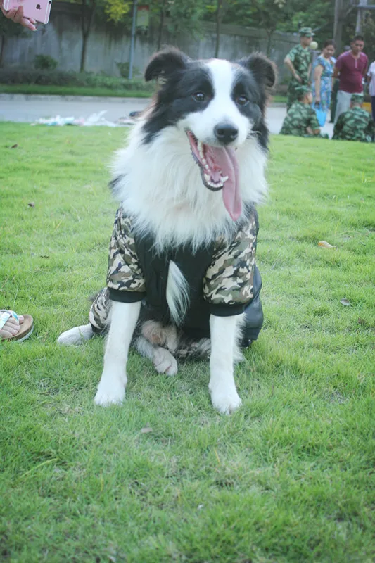 E8 зимняя теплая Большая Собака комбинезон одежда из хлопка стеганая камуфляжная 4 ноги костюм для больших собак Одежда