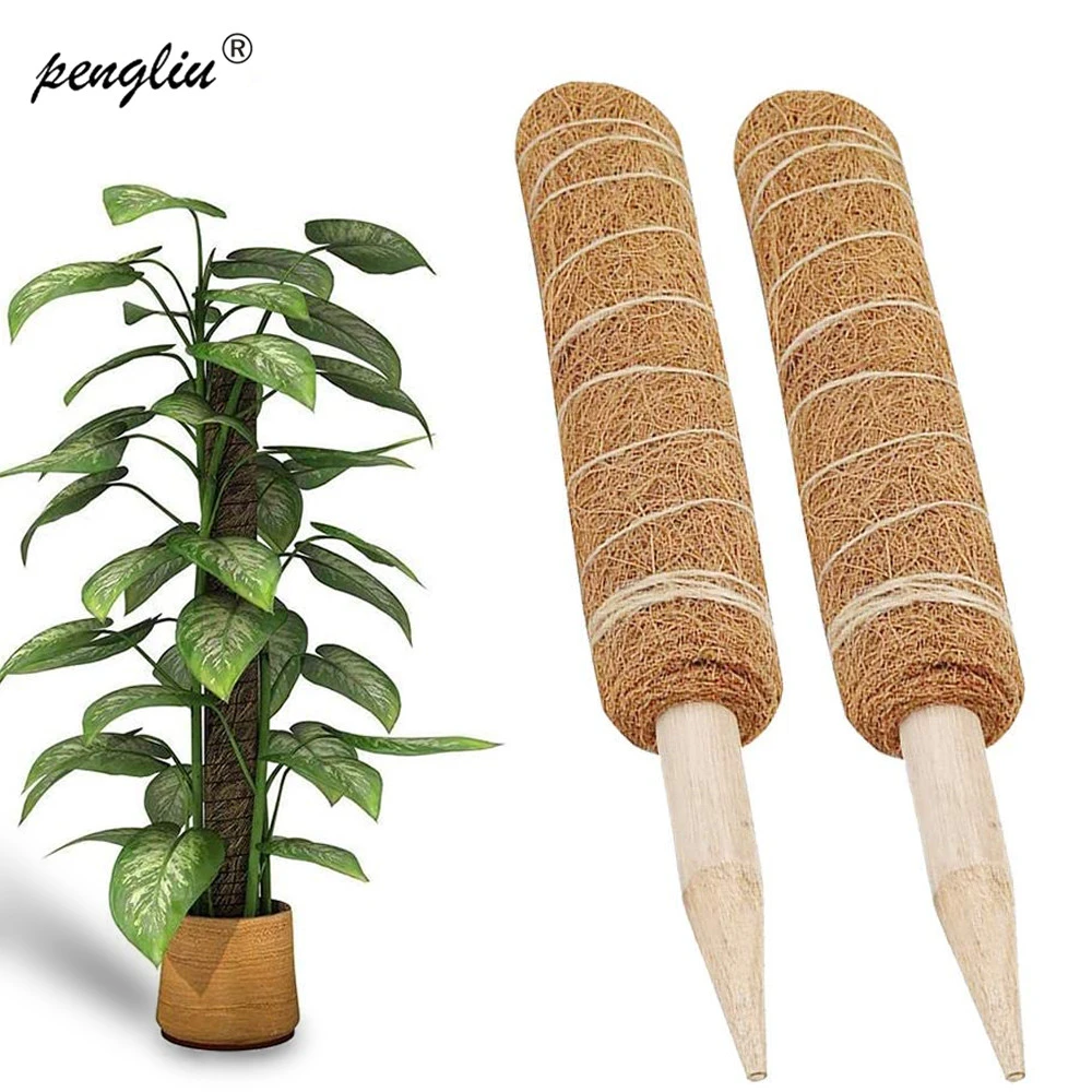 30/50cm Coir Moss Totem Pole Plant Extension Creeper Potted Climb Support Stick