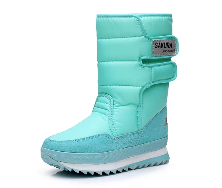 1796985947_1986011062