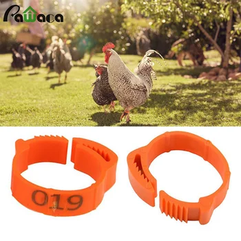 

100Pcs Chicken Foot Ring Adjustable Size Poultry Leg Digital Label Buckle Ring For Chicken Duck Pigeon Poultry farm Supplies