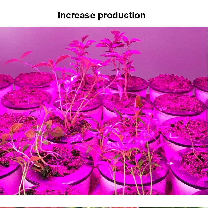 11897953931_1585587929