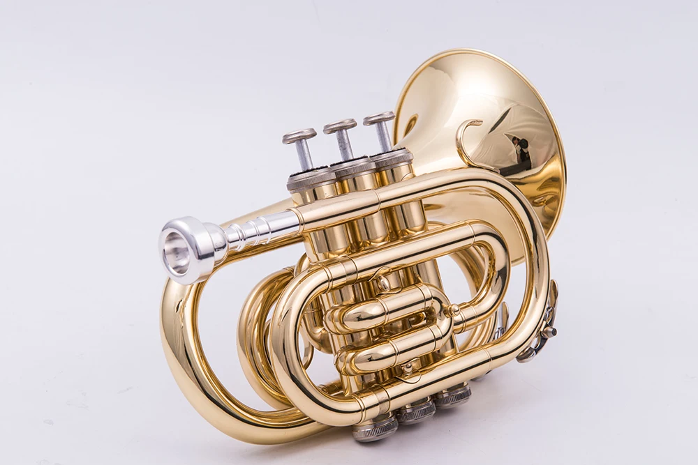 

Карманная мини-труба Naiputesi, плоский латунный ветровой инструмент, портативный мини-тромпер, тромпета золотого цвета с чехлом