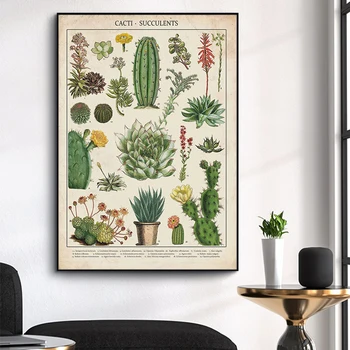 

Cacti Succulents Modern Plant Flower Canvas Painting Scandinavian Cuadros Wall Art Pictures Prints and Posters for Living Room