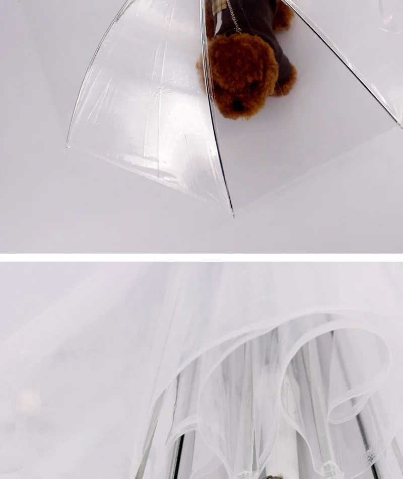 3717883480_1897535323