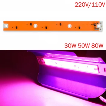 

30W 50W 80W Full Spectrum LED Grow Flood Light COB LED Grow Lamp for Outdoor Plant Hydroponic Vegetable Waterproof Growth Lamp