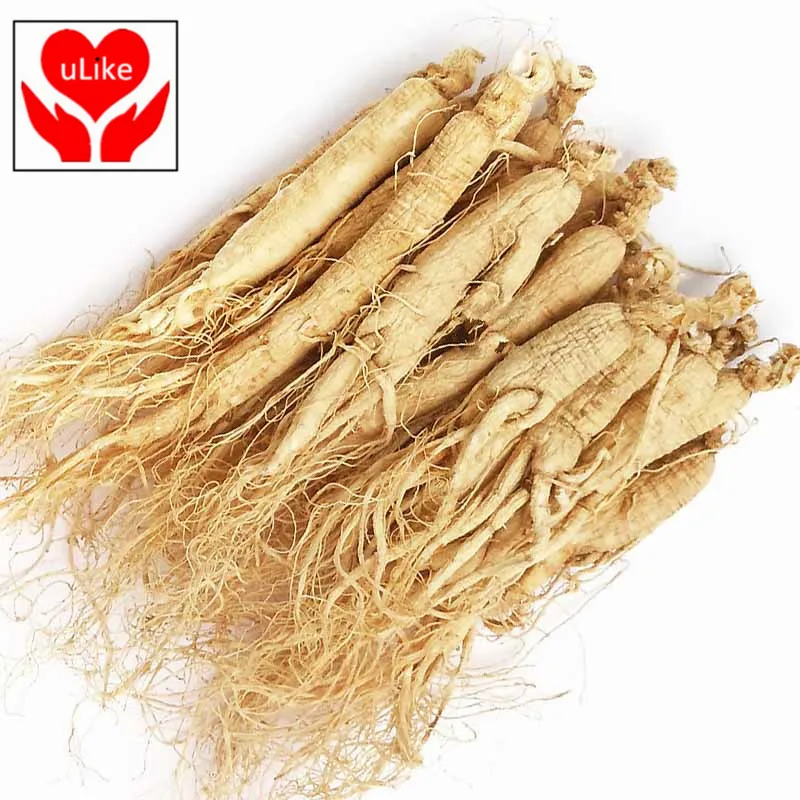 

Chinese Herb Material Wild Ginseng Root Top Quality White Ginseng Root