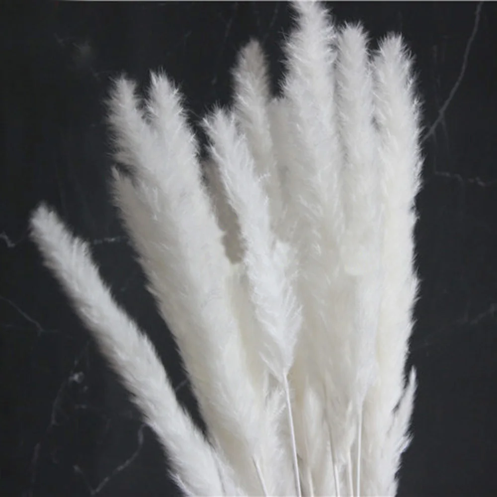 10973191572_2004716245