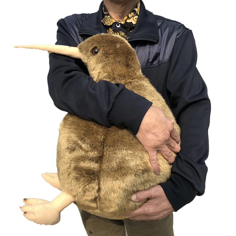 

Big Simulation KIWI Bird Doll Animal Kiwi Bird Plush Toys Realistic Animals Plush Toys Gifts Deco 20inch 50cm DY50603