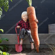 200 шт Супер гигантский морковный бонсай органический русский негибридный растительный бонсай для домашнего сада растения сладкие и здоровые фрукты бонсай