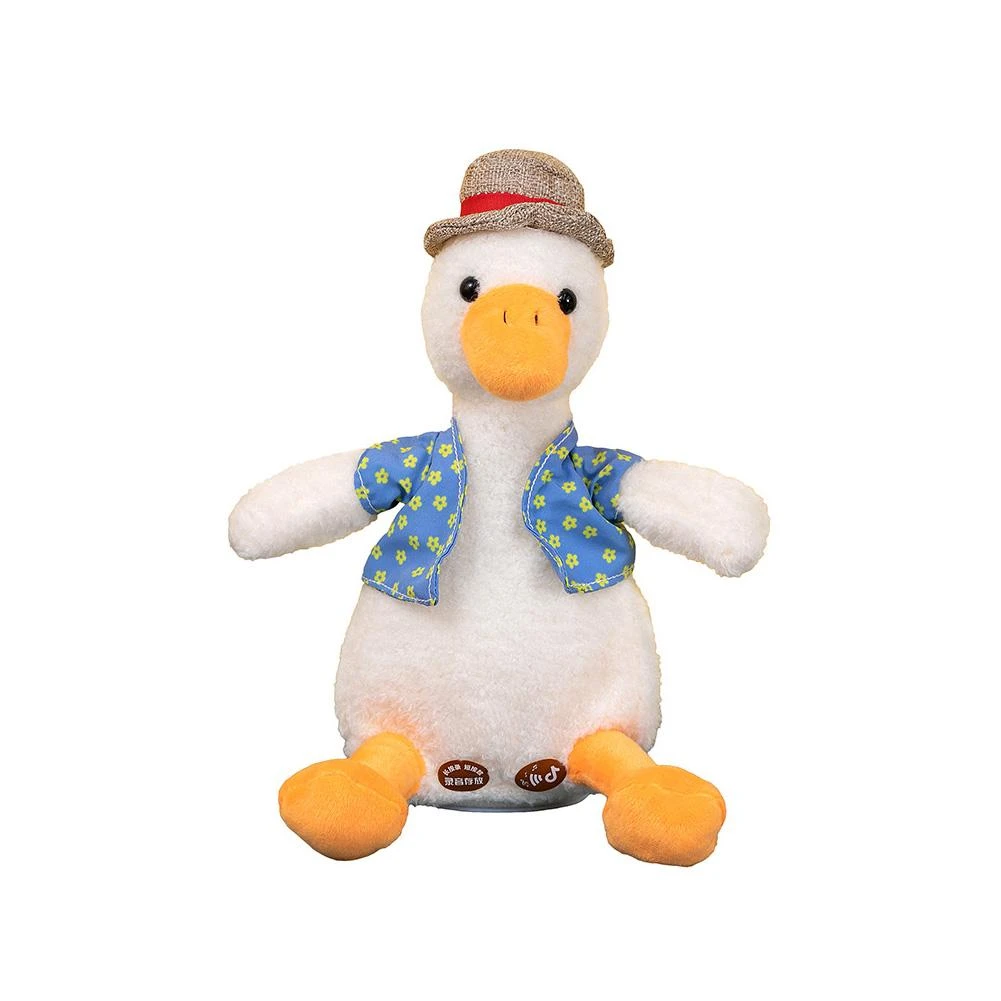 robot duck toy