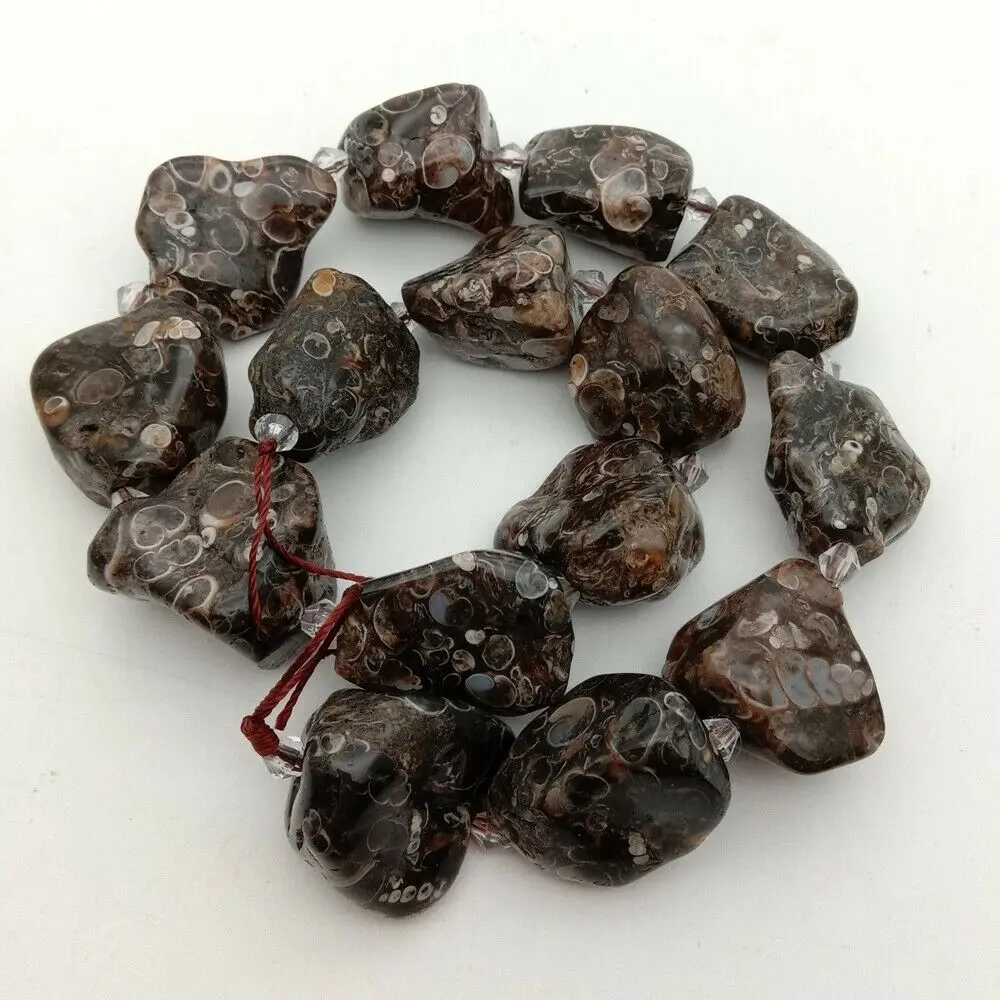 

SE11472 Turritella Snail Fossil Beads Freeform Nuggets Genuine Gems Stone 15.5