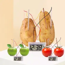 Jouet Montessori pour enfants, batterie de fruits et pommes de terre sèches, jouets éducatifs scientifiques pour enfants, expérience technologique, aides pédagogiques scolaires 