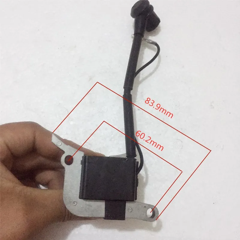 IMG_7541