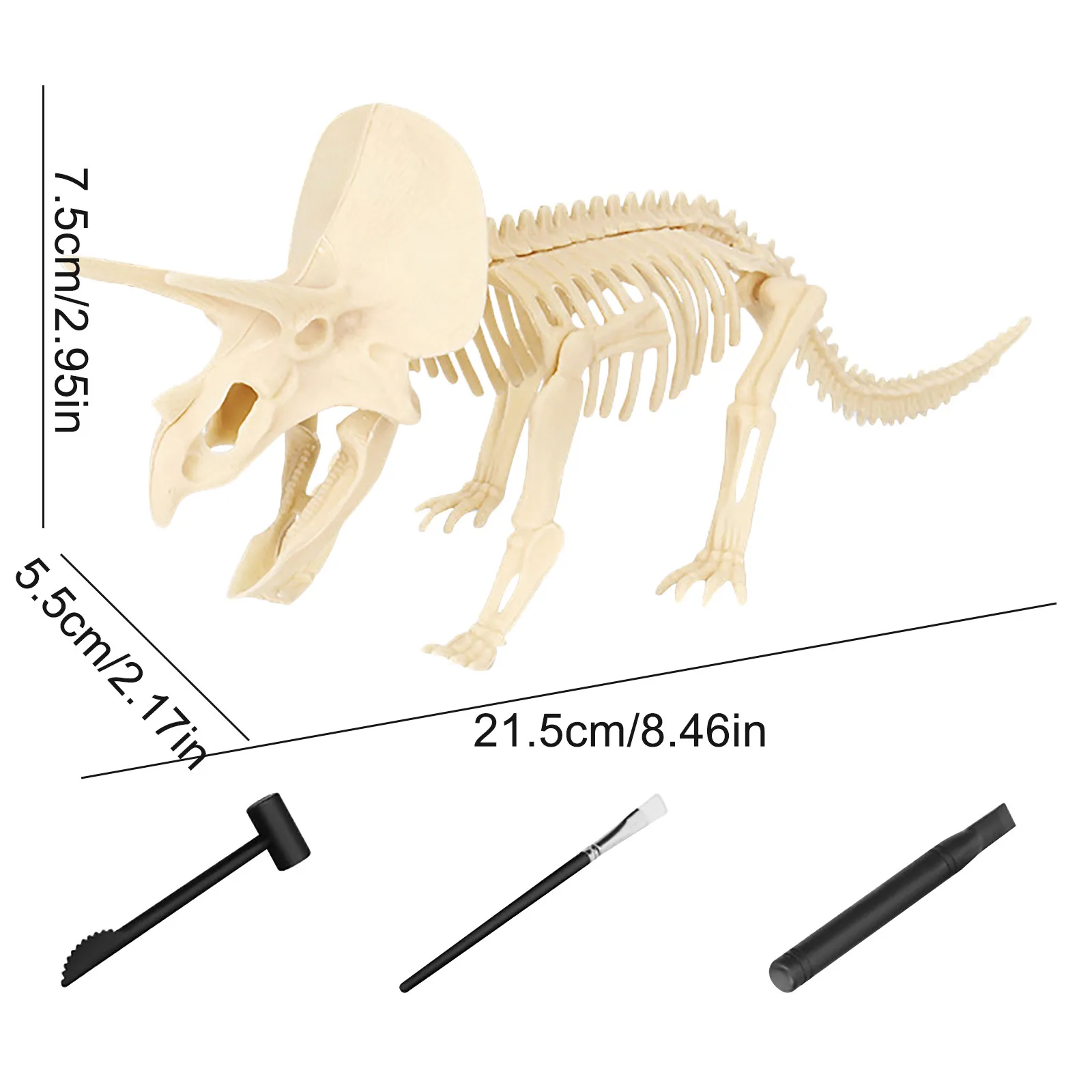 SAFIGLE Brinquedos Educativos Para Crianças Fósseis De Dinossauros 1Pc  Conjunto De Jogos Infantis Para Crianças Brinquedos Educativos Científicos  Para Escavação Modelos De Dinossauros