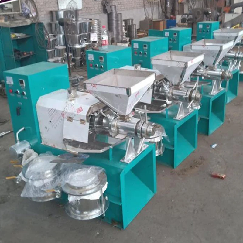 Commercial Peanut Oil Press Machine Pine Coconut Nut Kernel Squeeze 30-60 Kg/H Extractor Business 4