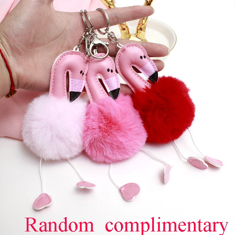 10775023121_381919233