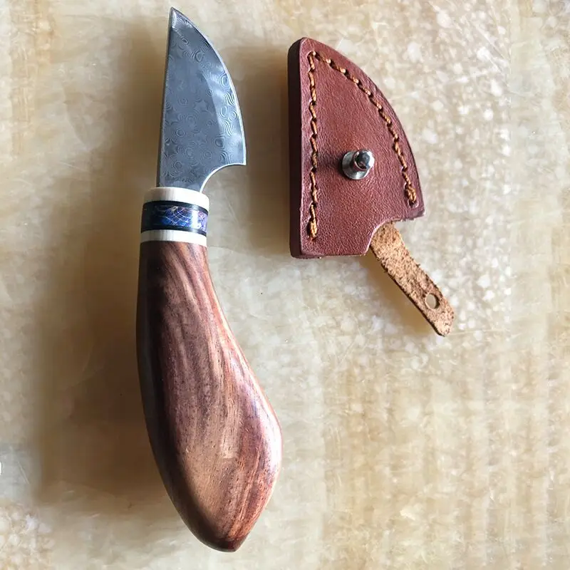 QQ图片20200715004750