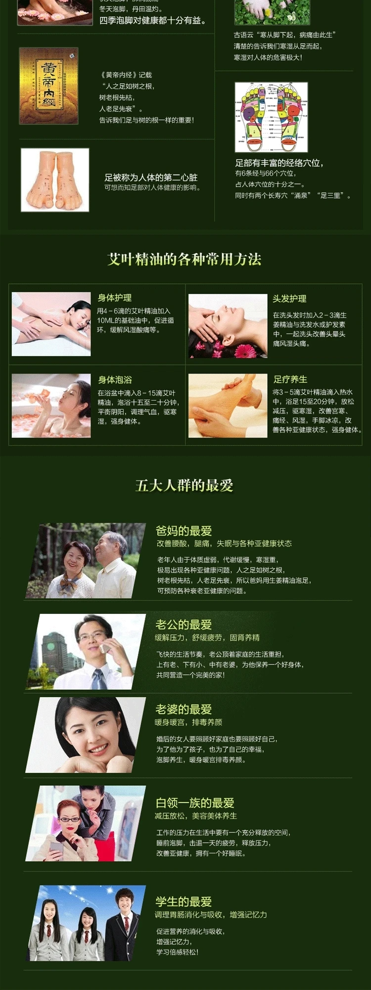 艾叶_02