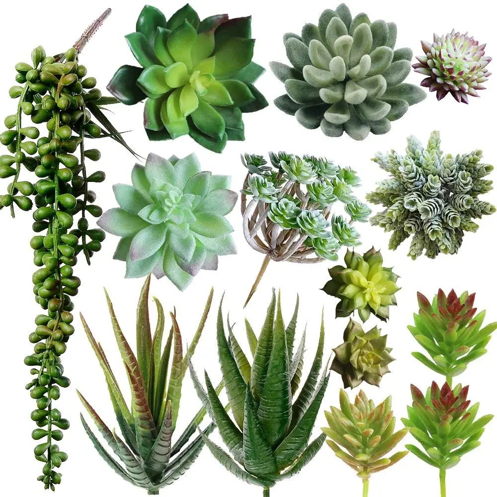 

14 combination simulation succulent pick texture