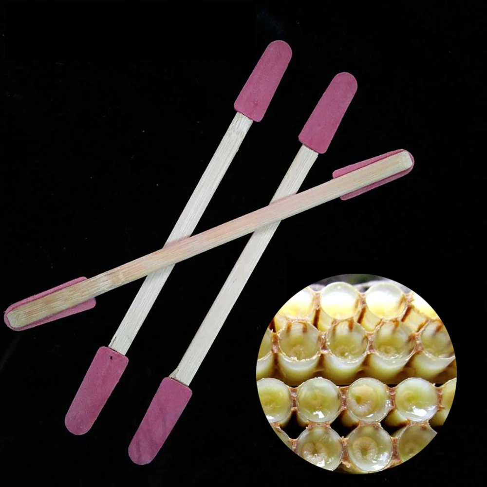 10 шт. двуглавый Пчеловодство бамбуковый пластик взять сбор сбора целлюлозы ручка Королевский желе пчелы молоко Ракель поставки