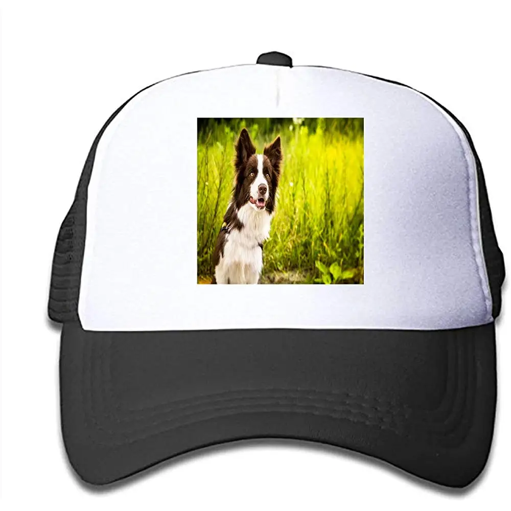 HNYL шляпы милые бордер колли Дети Малыш Регулируемая Snapback сетки сзади кепки мяч кепки Хэллоуин