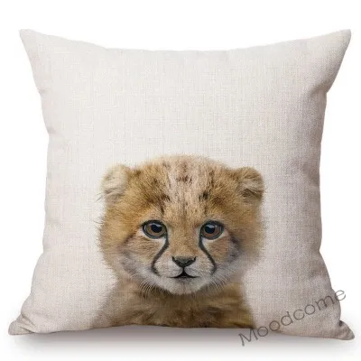 conew_t215 (1) 副本