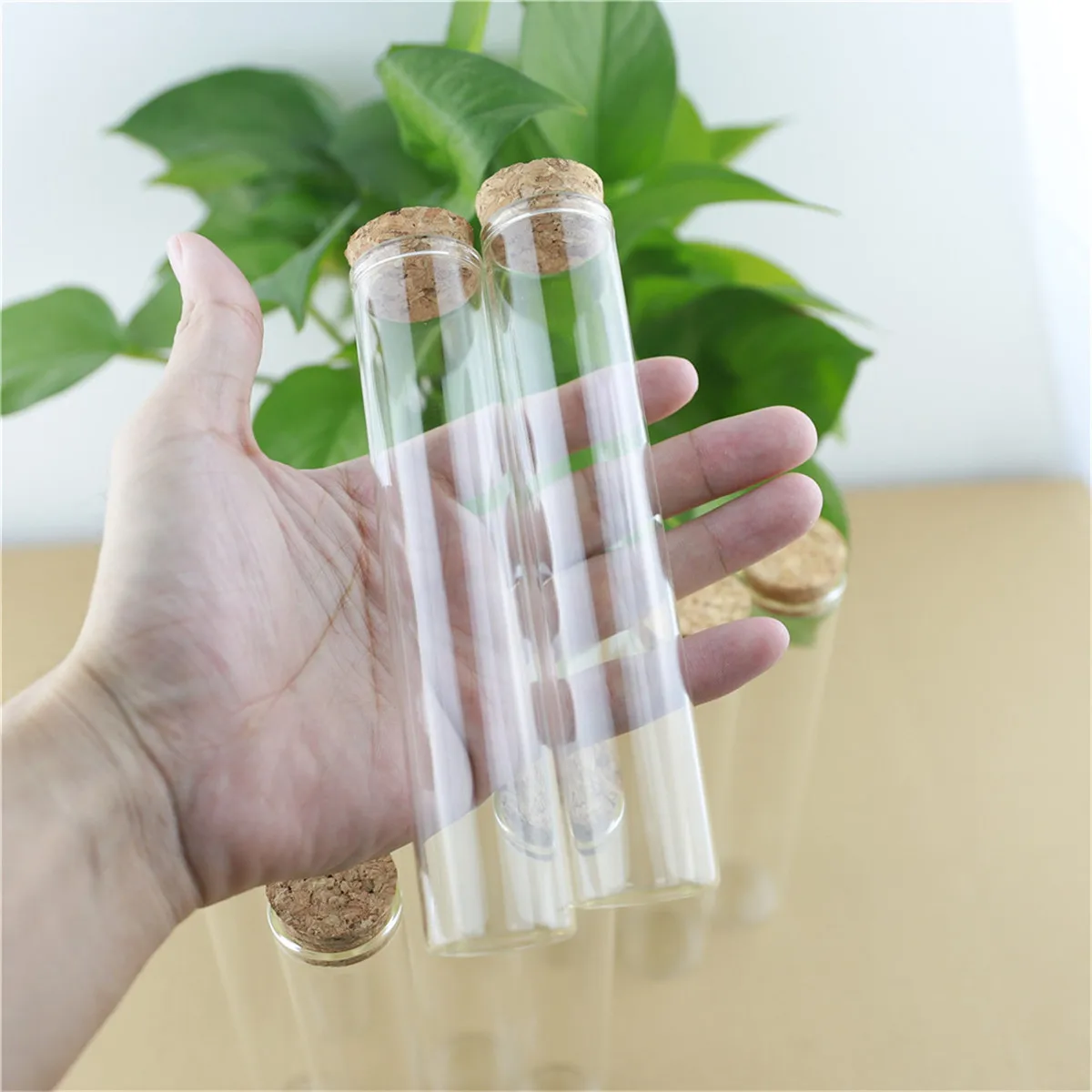 FP Small Mini Glass Jars with Pink Plastic Top Bottles Spice Storage Vials for M