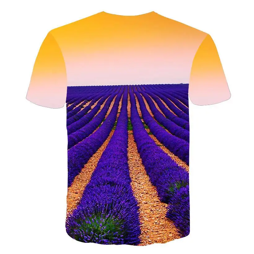 723
