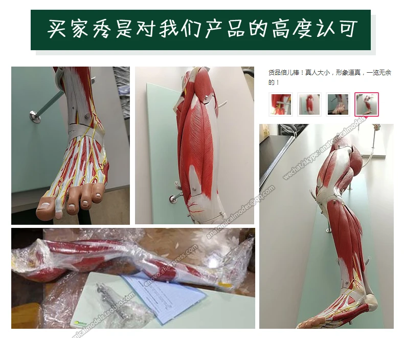 12027 买