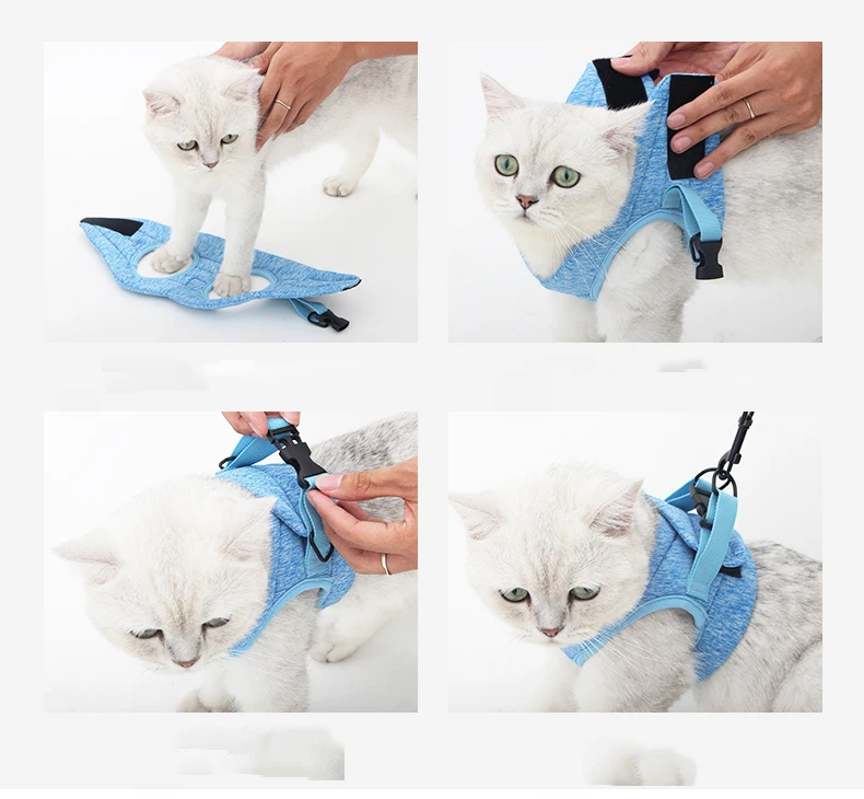 猫背带_05-1