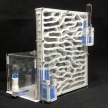 6 слоев муравья виноград влага Кормление области муравьиная ферма из акрила насекомых Вилла муравьиные гнезда вилла домашнее животное продвинутый мания для Домашние муравьи