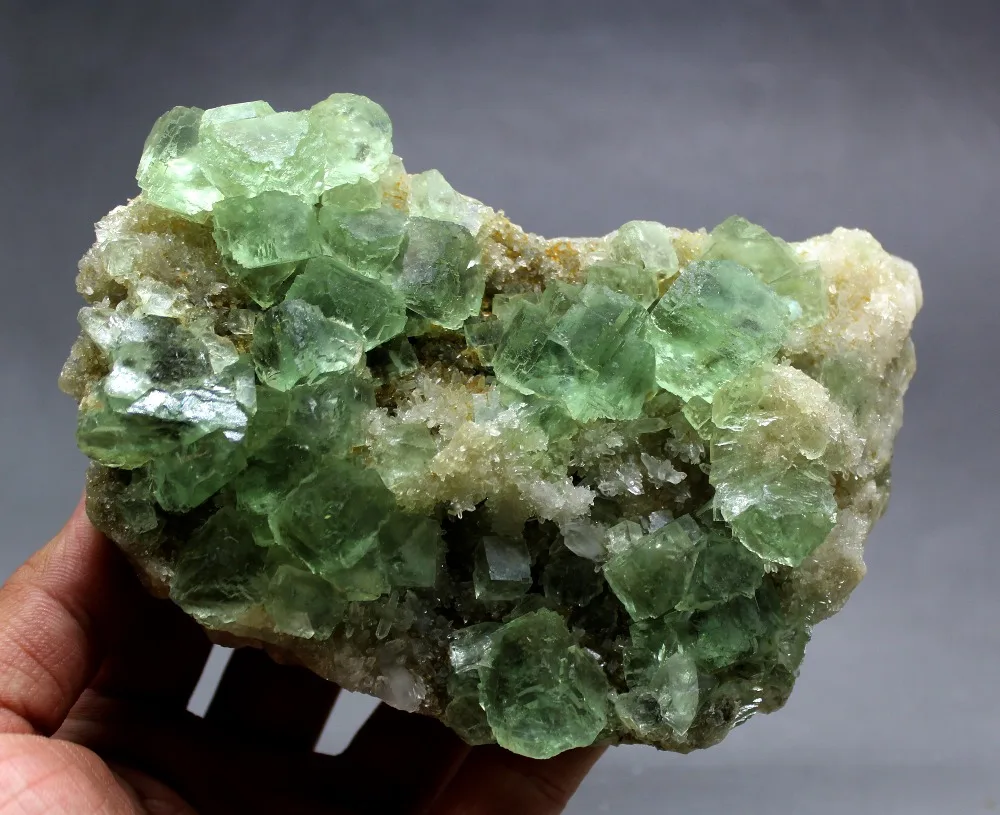 IMG_4299