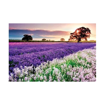 

1000 Pieces DIY Jigsaw Puzzle Adult Puzzles Children Educational Toys Decoration 1327