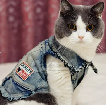 

Cute Warmer Four Legs Cat Denim Clothes