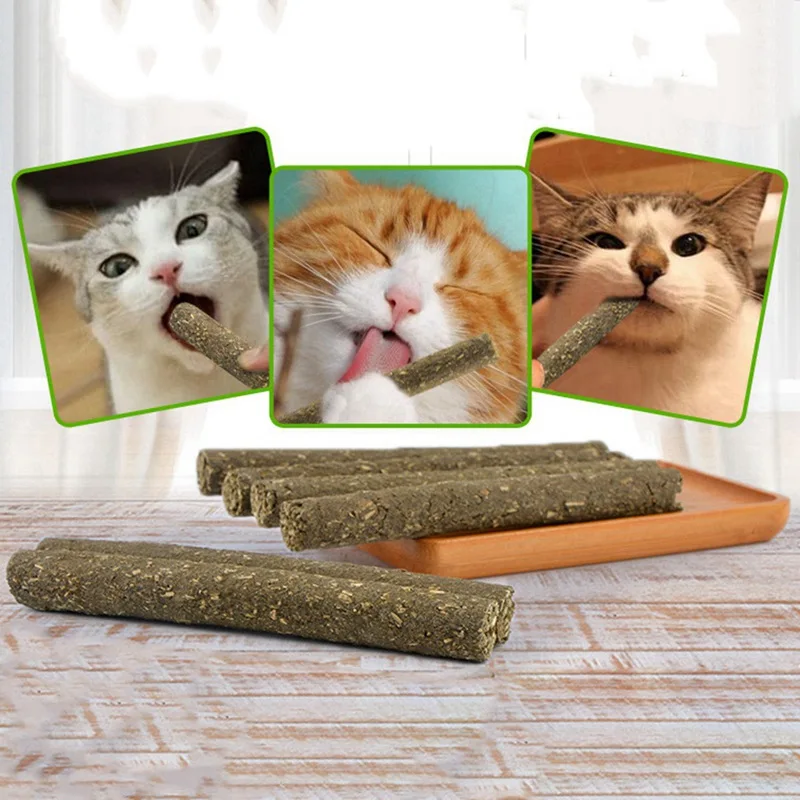 Кошка мята молярная зоотовары кошка царапина и укус интерактивная игрушка устранение скуки материал безопасность обучение животное природа