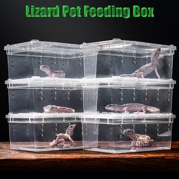 

Transparent Plastic Box Insect Reptile Terrarium Clear Breeding Live Food Feeding Box Snakes Lizard Frogs House