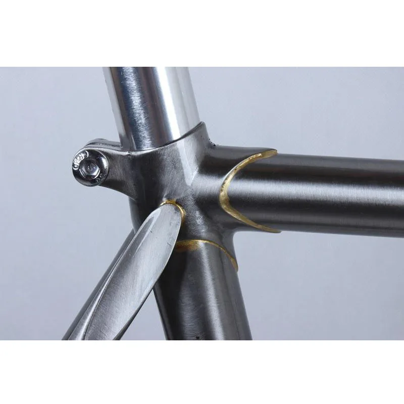 fixed gear bike 4130 Chrome-molybdenum Steel vintage bike frame Fixie bike Single speed Bike Customize 50cm 52cm 58cm 60 cm