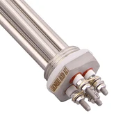 Élément chauffant 12v 24v 36v 48v 300W 600W SUS304 DN25 DC, chauffage tubulaire solaire/électrique pour eau d'immersion 5